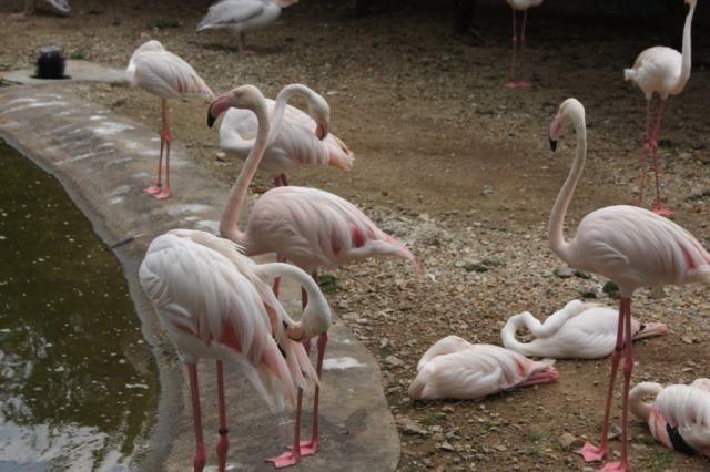 BirdPark0224