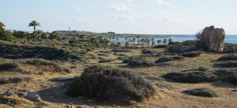 D3 Pafos Groby 0042