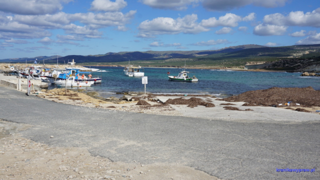 Port Port