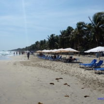 Isla Margarita  Isla Margarita