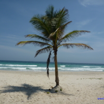 Isla Margarita  Isla Margarita