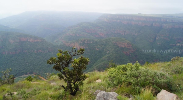 D06_Panorama_Route0156